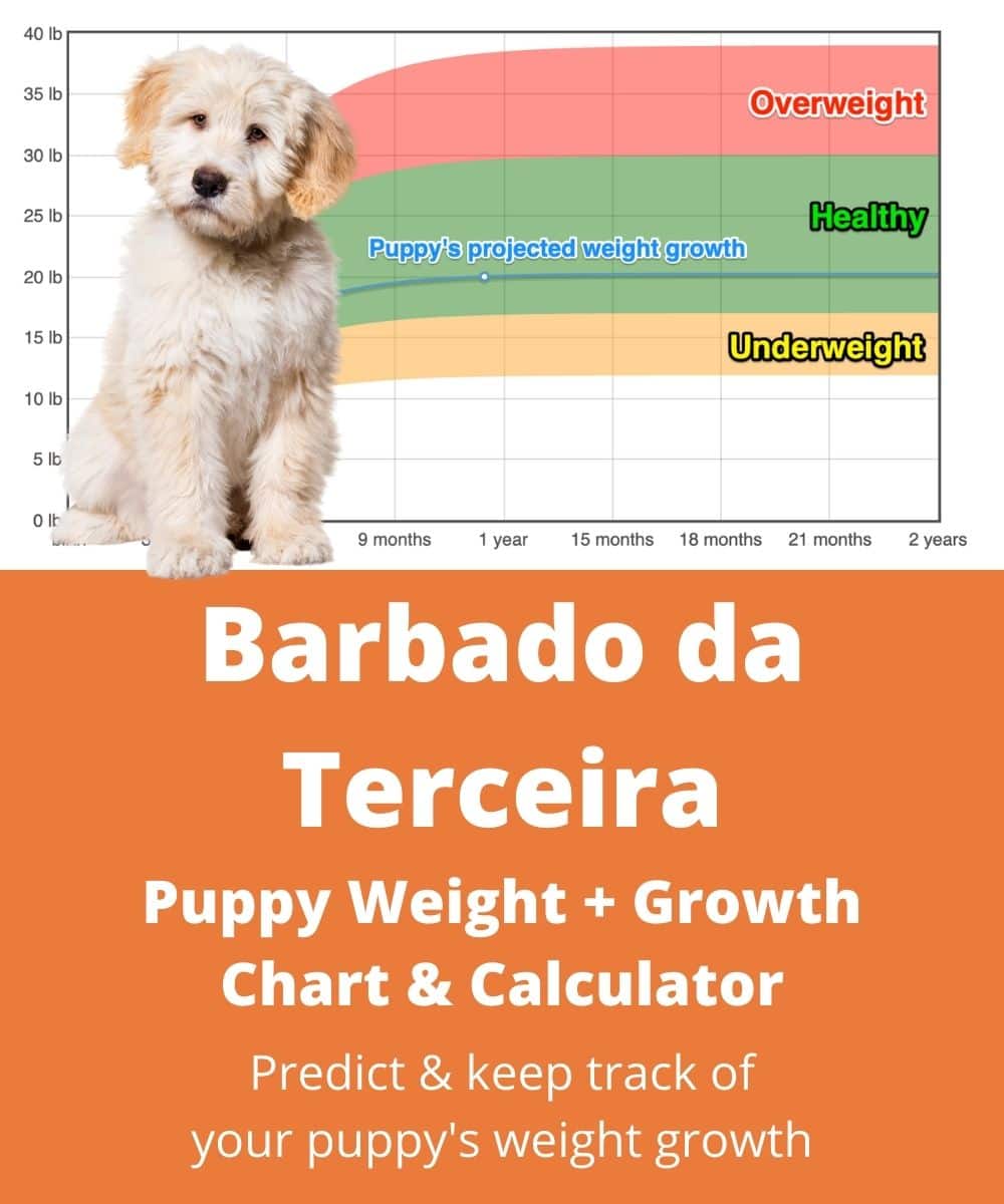 barbado-da-terceira Puppy Weight Growth Chart